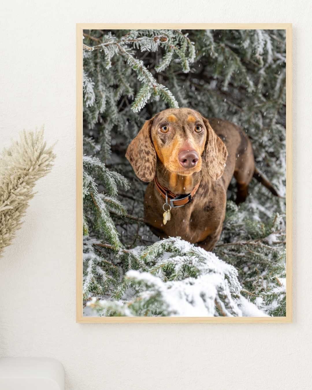 un tirage photo mural avec un lion 